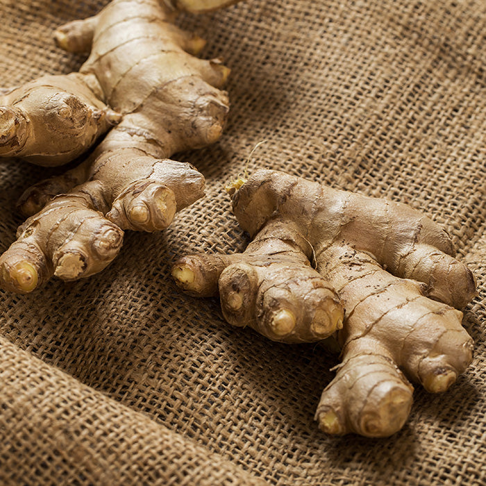 Ginger Essential Oil