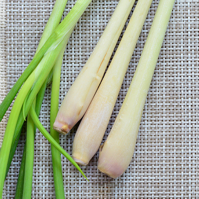 Lemongrass Essential Oil