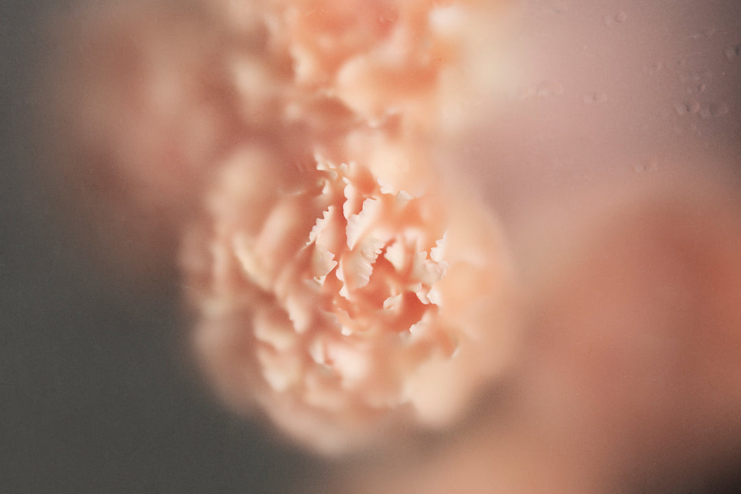 Thoughtful Mother’s Day Gift Ideas: Luxury Home Fragrance Edit