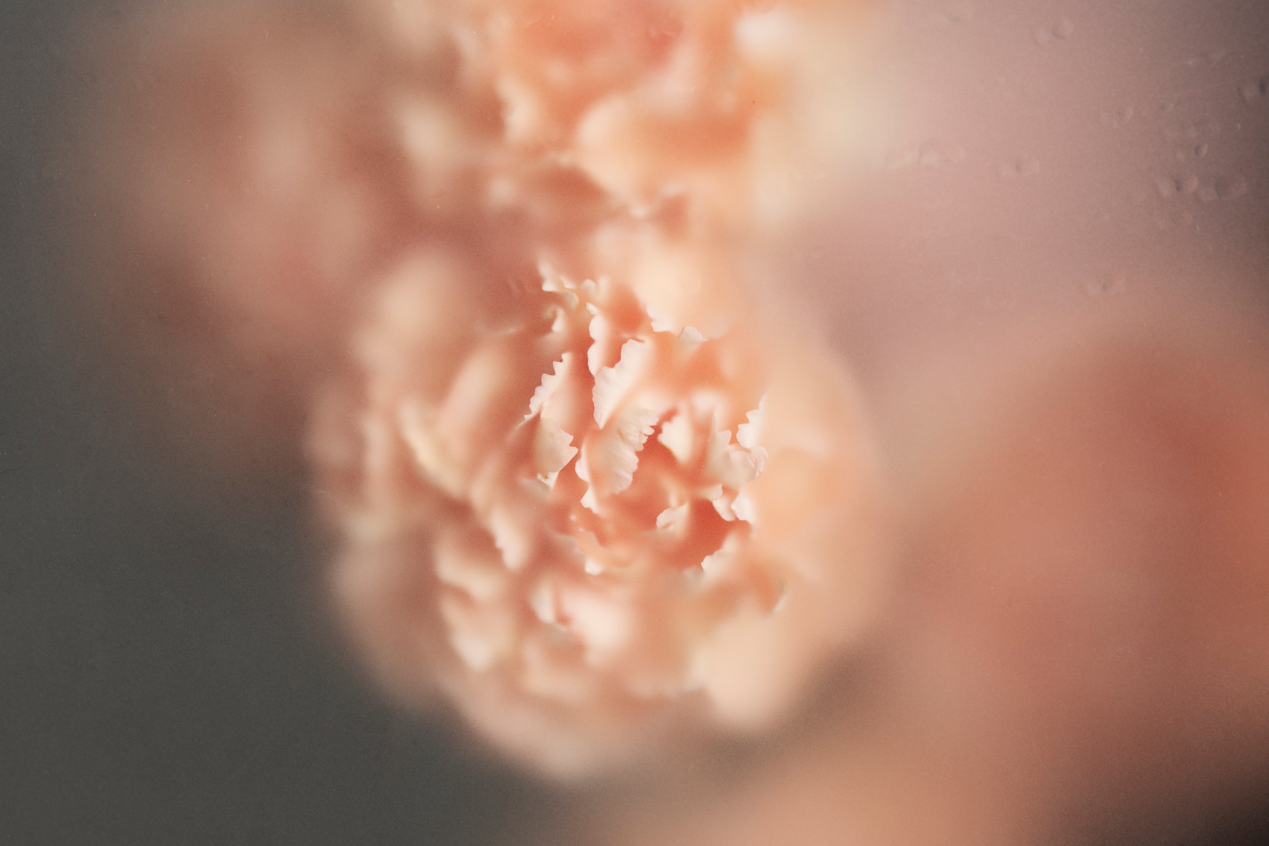 Thoughtful Mother’s Day Gift Ideas: Luxury Home Fragrance Edit