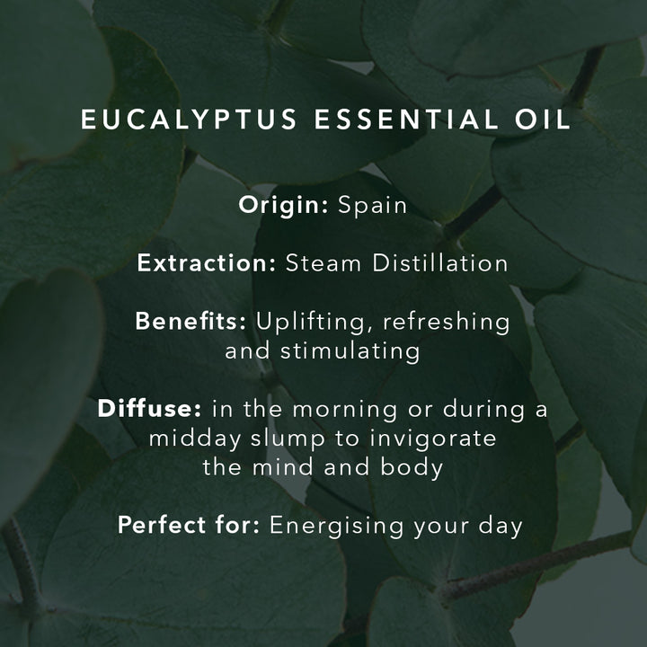 Eucalyptus Essential Oil